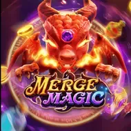 MERGE MAGICFachai